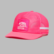 Knockout Pink